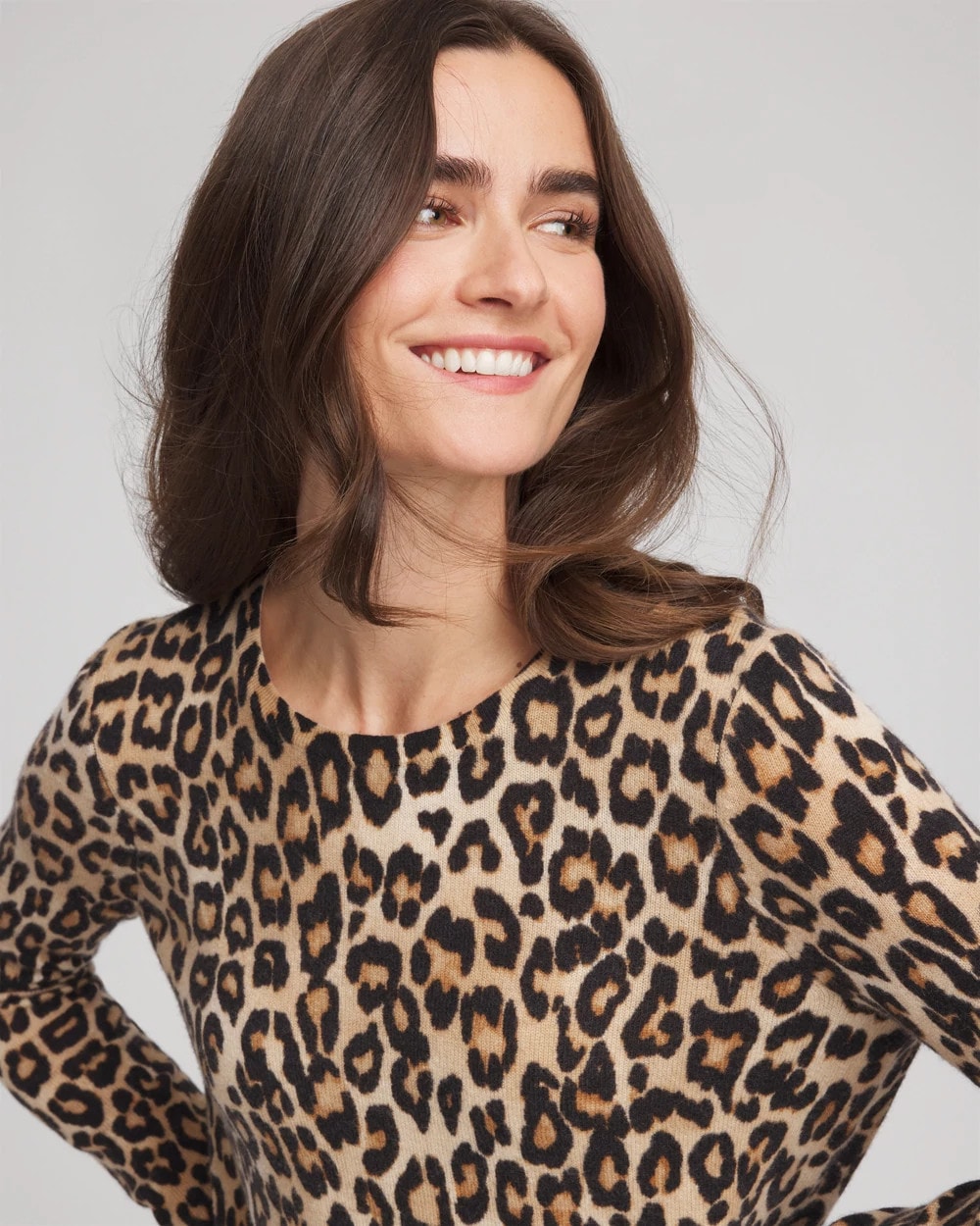 Chico's Cashmere Animal Long-Sleeve Pullover Sweater