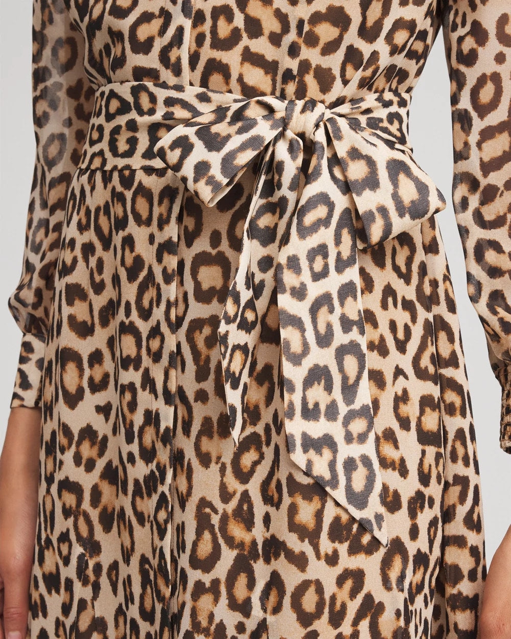 Chico's Cheetah-Print Godet Dress