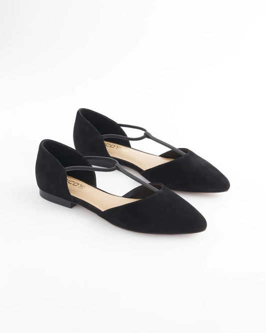 Chico's Glory Pointed Toe Flats
